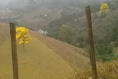 - paisagem,(030)