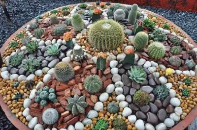 FaraÃ³n jigsaw puzzle