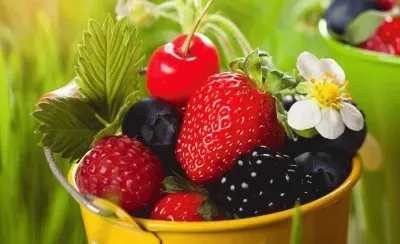 fresas jigsaw puzzle