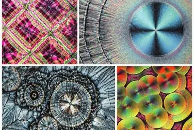 FaraÃ³n jigsaw puzzle