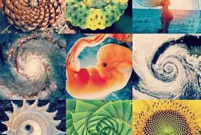 FaraÃ³n jigsaw puzzle