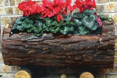 Jardinera
