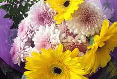 flowers