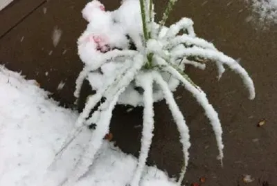 Setember 8 Calgary, Alberta