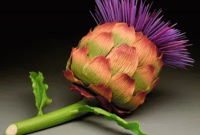 Artichoke