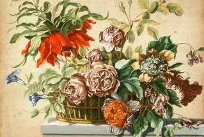fiori