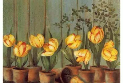 פאזל של tulipani