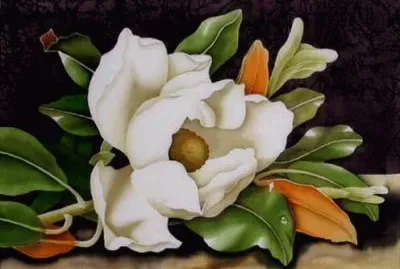 פאזל של magnolia