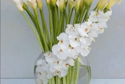 fleurs