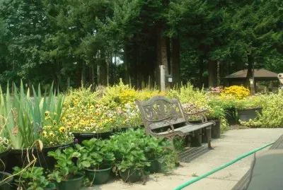 פאזל של jardim