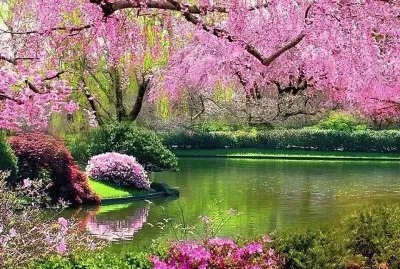 jardin