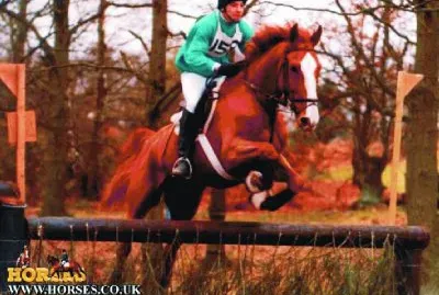 פאזל של EQUITACIÃ“N.