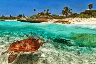 Paisaje Lacustre Zulia jigsaw puzzle