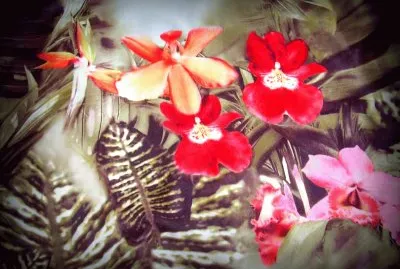 colors jigsaw puzzle