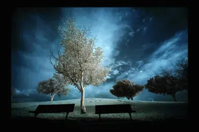 - paisagem,(c)