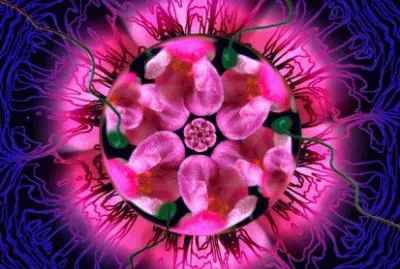 Mandala