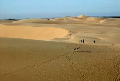 Medanos de Coro Falcon Venezuela
