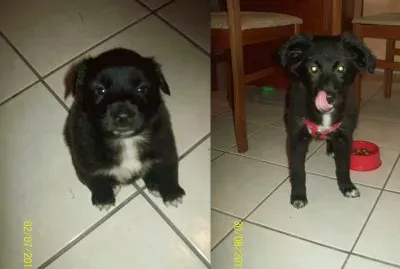 O antes e o depois