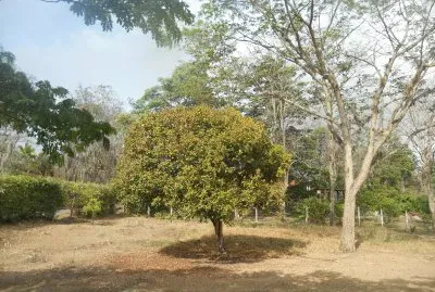 Paisaje 2