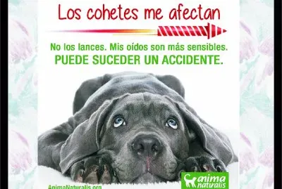 MÃS SENSIBILIDAD AUDITIVA.