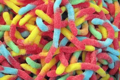 gusanos jigsaw puzzle