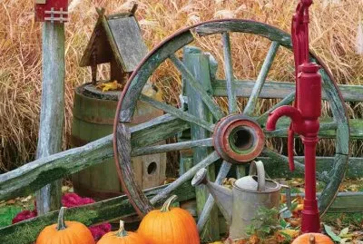 Fall in the Garden