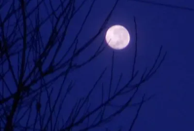 Luna llena