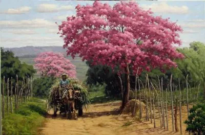 פאזל של carro de boi