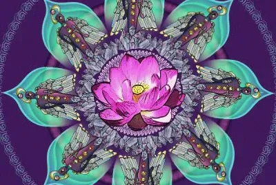 mandala 23