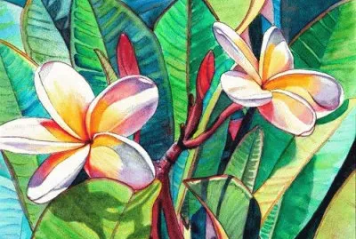 Hawaiian Flowers
