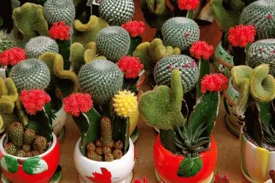 FaraÃ³n jigsaw puzzle