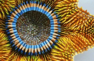 Pencil art jigsaw puzzle