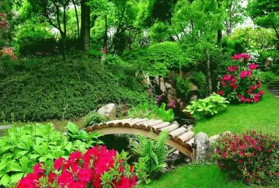 NÂº 456 jigsaw puzzle