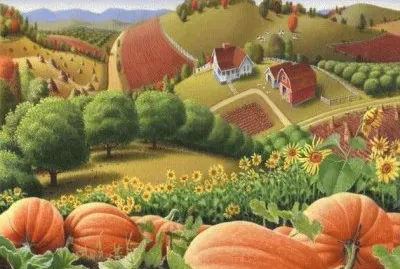 Pumpkins at the Farm