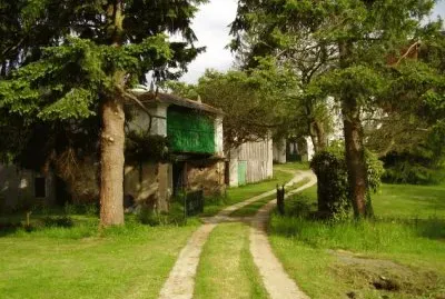 camiÃ±o