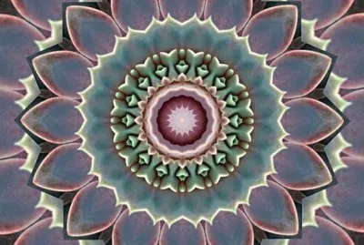 Succulent Mandala jigsaw puzzle