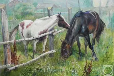 cavalos