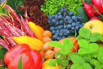 FRUTA