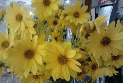 flores amarillas
