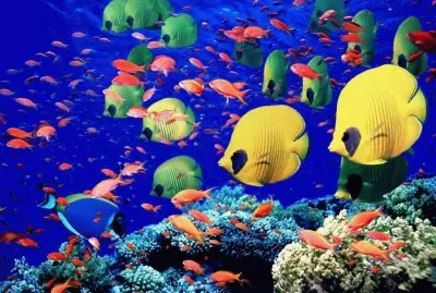 fundo do mar