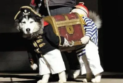 Get out!!!This is my....