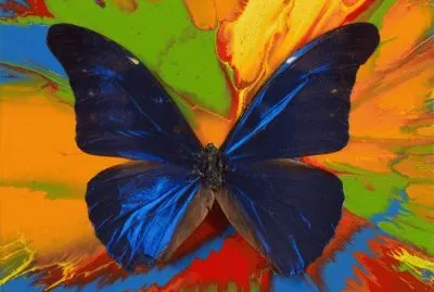 פאזל של Damian Hirst