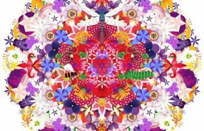 FaraÃ³n jigsaw puzzle