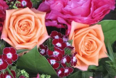 Flors