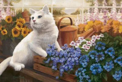 gato