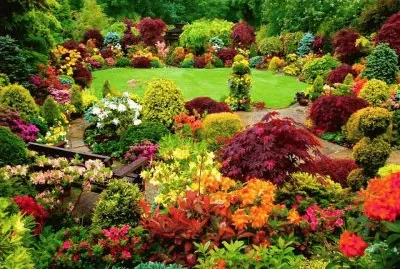 jardim