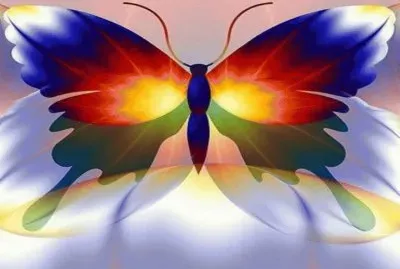 פאזל של Rainbow Butterfly