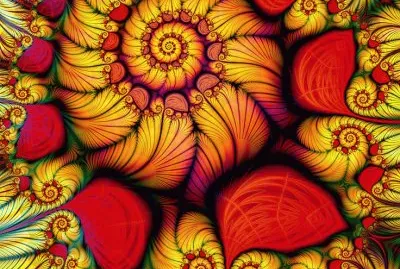 Reflections of the Sun jigsaw puzzle