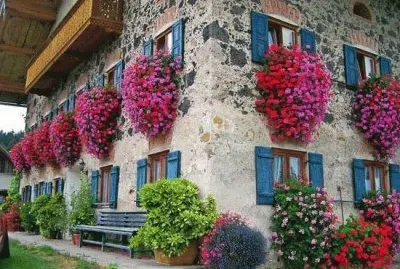 פאזל של FLORES EN LA PARED