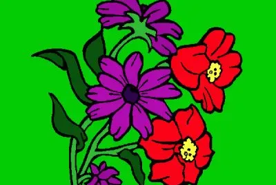 Flores